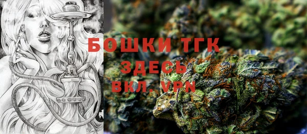 винт Осташков