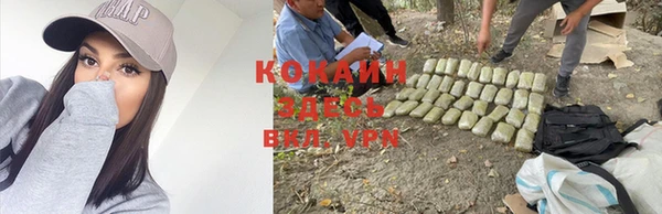 винт Осташков