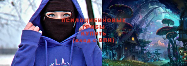 прущая мука Осинники
